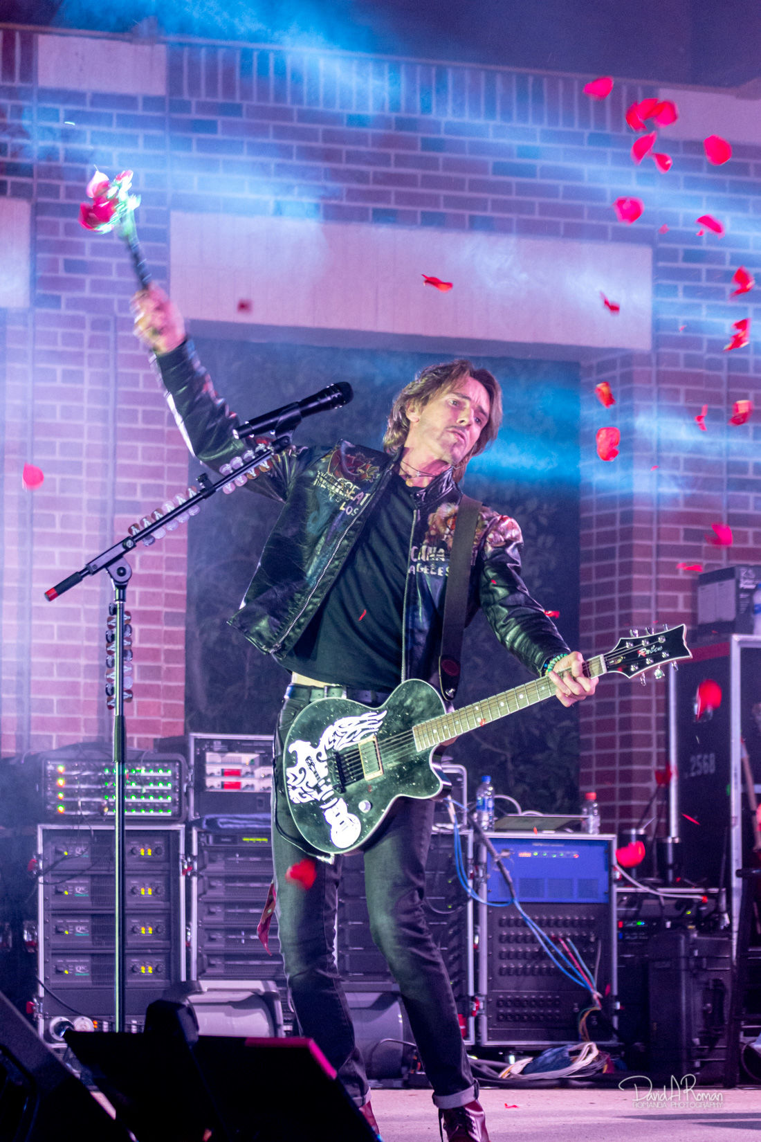RICK SPRINGFIELD